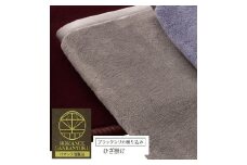 ROMANCE 岩盤浴プレミアム ひざ掛け毛布 シングル グレー 33108710｜寒さ対策 あったか ひざかけ 無地 シンプル 抗菌加工 洗える [4293]