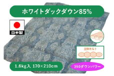 立体 羽毛ふとん(SDL) ホワイトダックダウン【ダブルサイズ】ブルー K0524797D85SD｜ふわふわ 立体キルト ホワイトダック 羽毛布団 パワーアップ加工 オゾン加工 殺菌 消臭 防ダニ [4300]