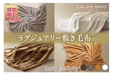 【期間・数量限定】【オーロラブラウン】CALDO NIDO notte3 カルドニードノッテ 3 敷き毛布 セミダブル (120×205cm)｜上質な眠り 感動の肌触り なめらかな光沢 極上の暖かさ 職人の技 毛布のまち 泉大津市産【db】[4485]プラス1枚セット