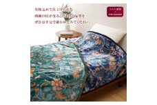 DAKS アクリルマイヤー毛布(毛羽部分) グリーン｜ブランケット 快眠 快適 熟睡 睡眠 洗える 洗濯可能 丸洗い可能 静電加工 [4513]