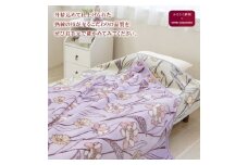 ディアジャパン アクリルニューマイヤー毛布(毛羽部分) グリーン｜ブランケット 快眠 快適 熟睡 睡眠 洗える 洗濯可能 丸洗い可能 [4532]
