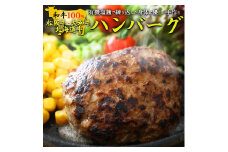 有機塩麹で練り込んだ身体に優しい手作り和牛ハンバーグ (120g×5個)｜ハンバーグ オーガニック 無添加 有機 塩麹 和牛 松阪牛 大和牛 食育 アドバイザー 子供 こども 子育て やわらかい 弁当専科まるにし 中塚由子 泉大津 [4630]