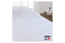 オーガニックコットン マイヤー綿毛布 シングル ブルー 1枚 49311200 BL [4857]