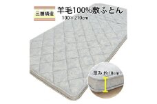 マチ付ボリュームタイプ羊毛敷ふとん シングル ブルー K0425997EMB [5028]
