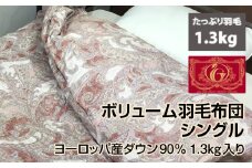 【ブルー】ボリューム羽毛布団 シングル ヨーロッパ産ダウン90% 1.3kg入り ピンク、ブルー 1枚Ｎ-V-555＊