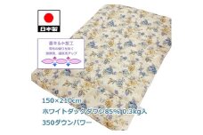 ダウンケット(SL) ホワイトダックダウン ブルー K0521424D85FB
