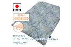 立体 羽毛ふとん(SL) ノーヴィーアイダリッシュダックダウン ブルー K056278ND17BL