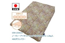 立体 羽毛ふとん(SL) ノーヴィーアイダリッシュダックダウン ローズ K056278ND12RO