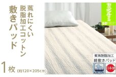 【パープル】蒸れにくい 脱脂加工コットン 敷きパッド 【セミダブル】 1枚 54796163