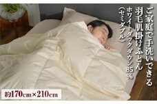 ご家庭で手洗いできる 羽毛肌掛けふとん セミダブル（約170×210㎝） | 手洗い可 国産 寝具 布団 ホワイトダックダウン85％ 泉大津市 羽毛肌掛け布団寝具 掛け布団寝具 手洗い寝具 羽毛肌掛け布団 セミダブル寝具 セミダブル掛け布団 羽毛布団セミダブル 国産寝具 国産掛け布団 布団寝具 ホワイトダックダウン寝具 ホワイトダックダウン掛け布団 泉大津市寝具