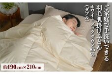 ご家庭で手洗いできる 羽毛肌掛けふとん ダブル（約190×210㎝） | 手洗い可 国産 寝具 布団 ホワイトダックダウン85％ 泉大津市 羽毛肌掛け布団寝具 掛け布団寝具 手洗い寝具 羽毛肌掛け布団 ダブル寝具 ダブル掛け布団 羽毛布団ダブル 国産寝具 国産掛け布団 布団寝具 ホワイトダックダウン寝具 ホワイトダックダウン掛け布団 泉大津市寝具