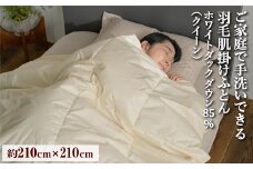 ご家庭で手洗いできる 羽毛肌掛けふとん クイーン（約210×210㎝） | 手洗い可 国産 寝具 布団 ホワイトダックダウン85％ 泉大津市 羽毛肌掛け布団寝具 掛け布団寝具 手洗い寝具 羽毛肌掛け布団 dクイーン寝具 クイーン掛け布団 羽毛布団クイーン 国産寝具 国産掛け布団 布団寝具 ホワイトダックダウン寝具 ホワイトダックダウン掛け布団 泉大津市寝具