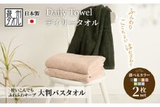 【ライトグリーン】吸水力と肌触りが自慢のデイリーユース大判バスタオル 2枚セット 単色