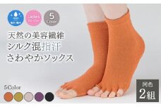 【グリーン】天然の美容繊維 シルク指汗さわやかソックス 同色2組 フリーサイズ H-SO1203X2