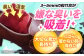 間伐 贈答 ギフト 産地直送 取り寄せ 送料無料 大阪