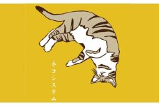 【猫グッズ】ネコのかわいい手ぬぐい ２点セット 猫 贈答 ギフト 産地直送 取り寄せ 送料無料 大阪 大阪府高槻市/ネコシステム [AOBX003] かわいい 猫 ねこ ネコ グッズ ハンカチ
