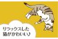 猫 贈答 ギフト 産地直送 取り寄せ 送料無料 大阪