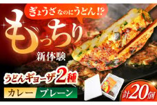 高槻うどんギョーザふるさとギフト 【プレーン＆カレー 20個】 餃子 ぎょうざ ギョーザ うどん 焼きうどん お好み焼き 食品 贈答 ギフト 産地直送 取り寄せ 送料無料 大阪 大阪府高槻市/高槻うどんギョーザの会 [AOAU002]