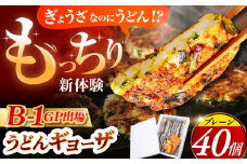 高槻うどんギョーザふるさとギフト【プレーン40個】 餃子 ぎょうざ ギョーザ うどん 焼きうどん お好み焼き 食品 贈答 ギフト 産地直送 取り寄せ 送料無料 大阪 大阪府高槻市/高槻うどんギョーザの会 [AOAU003] 