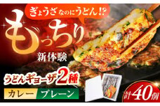 高槻うどんギョーザふるさとギフト【プレーン＆カレー 40個】 餃子 ぎょうざ ギョーザ うどん 焼きうどん お好み焼き 食品 贈答 ギフト 産地直送 取り寄せ 送料無料 大阪 大阪府高槻市/高槻うどんギョーザの会 [AOAU004] 
