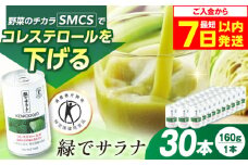【最短7日以内発送】サンスター 緑でサラナ 30本セット 160g 野菜ジュース 青汁 サラナ 缶 ケース まとめ買い 健康 特定保健用食品 トクホ コレステロール 保存料不使用 無添加 国産 長期保存 常温 防災 ギフト 大阪府高槻市/サンスター[AOAD034]