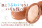 美容 贈答 ギフト 産地直送 取り寄せ 送料無料 大阪