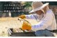 高槻産 贈答 ギフト 産地直送 取り寄せ 送料無料 大阪
