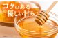 高槻産 贈答 ギフト 産地直送 取り寄せ 送料無料 大阪