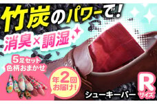 【全2回定期便】色柄おまかせシューキーパーR（レギュラー）5足セット×2 間伐 贈答 ギフト 産地直送 取り寄せ 送料無料 大阪 大阪府高槻市/チャコールファーム [AOBM011] 消臭 調湿 長持ち おすすめ 人気