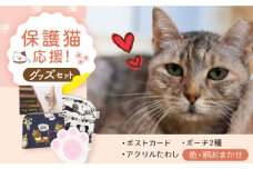 高槻ねこの会謹製【保護猫応援!】グッズセット(ポーチMLタイプ)オリジナルポストカード・手作りアクリルたわし入り　大阪府高槻市/高槻ねこの会・ねこのおうち [AOBR011] かわいい 猫 ねこ ネコ グッズ 保護猫 猫グッズ 動物愛護