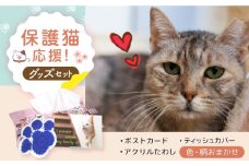 【保護猫応援!】グッズ3点セット ティッシュカバー・オリジナルポストカード・手作りアクリルたわし 猫 ねこ ネコ 保護 支援 動物愛護 猫 ねこ ネコ 保護猫 保護 グッズ ポストカード たわし ティッシュカバー 大阪府高槻市/高槻ねこの会・ねこのおうち[AOBR009]
