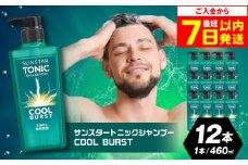【最短7日以内発送】サンスタートニックシャンプー 460ml×12本＜シトラスハーブの香り＞ シャンプー リンス 詰め替え 大容量 まとめ買い メンズ 男性 シトラス 柑橘 メントール ノンシリコン人気 定番 おすすめ 大阪府高槻市/サンスター[AOAD030]