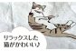 猫 贈答 ギフト 産地直送 取り寄せ 送料無料 大阪