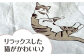 猫 贈答 ギフト 産地直送 取り寄せ 送料無料 大阪