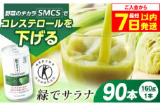 【最短7日以内発送】サンスター 緑でサラナ160g30本 ×3ケース（合計90本） 野菜ジュース 青汁 サラナ 缶 ケース まとめ買い 健康 特定保健用食品 トクホ コレステロール 保存料不使用 無添加 国産 長期保存 常温 防災 大阪府高槻市/サンスター[AOAD033]