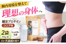 【定期便6ヶ月連続】Vitafast 乳酸菌プロテイン ココア味 2袋×6ヶ月 計12袋 シェイカー1個付き 筋トレ プロテイン トレーニング 運動 シェイカー プロテイン 運動 ダイエット 美容 腸活 シェイカー 飲みやすい ココア味 大阪府高槻市/合同会社会社VITASTRATE[AOCH003]