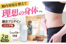 Vitafast 乳酸菌プロテイン ココア味 2袋 シェイカー1個付き 筋トレ プロテイン トレーニング 運動 シェイカー プロテイン 運動 ダイエット 美容 腸活 シェイカー 飲みやすい ココア味 大阪府高槻市/合同会社会社VITASTRATE[AOCH010]