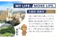 ステビア 贈答 ギフト 産地直送 取り寄せ 送料無料 大阪
