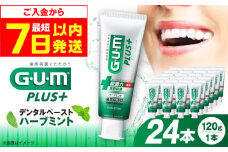 【最短7日以内発送】ガム・プラス デンタルペースト 120g×24本（ハーブミント） 歯磨き はみがき ハミガキ 歯磨き粉 歯みがき粉 歯ブラシ ハブラシ 薬用 医薬部外品 歯周病 虫歯 口臭 矯正 大容量 人気 定番 おすすめ 大阪府高槻市/サンスター[AOAD027]