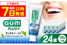 【最短7日以内発送】ガム・プラス デンタルペースト 120g×24本（リフレッシュミント） 歯磨き はみがき ハミガキ 歯磨き粉 歯みがき粉 歯ブラシ ハブラシ 薬用 医薬部外品 歯周病 虫歯 口臭 矯正 大容量 人気 定番 大阪府高槻市/サンスター[AOAD028]