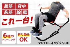 マルチローイングジムDX/EXG244R[AOAB063] ベンチプレス ベンチ 台 可変式ベンチ フラットベンチ トレーニングベンチ ダンベル バーベル 筋トレ トレーニング フリーウエイト マルチジム 筋肉 大胸筋 背筋 腹筋 コンパクト 省スペース 角度調整 組立簡単 健康 運動 美容 ダイエット 減量 家庭用 ホームジム 自宅トレーニング 初心者 人気 おすすめ ギフト アルインコ