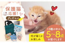 【保護猫応援！】グッズセット（詰め合わせBタイプ）1３種類の中から５～８点 保護猫 贈答 ギフト 産地直送 取り寄せ 送料無料 大阪 大阪府高槻市/高槻ねこの会・ねこのおうち [AOBR007] かわいい 猫 ねこ ネコ グッズ 保護猫 猫グッズ 動物愛護