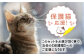 保護猫 贈答 ギフト 産地直送 取り寄せ 送料無料 大阪