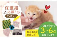 【保護猫応援！】グッズセット（詰め合わせAタイプ）10種類の中から３～６点 保護猫 贈答 ギフト 産地直送 取り寄せ 送料無料 大阪 大阪府高槻市/高槻ねこの会・ねこのおうち [AOBR006] かわいい 猫 ねこ ネコ グッズ 保護猫 猫グッズ 支援 動物愛護