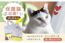 【保護猫応援！】グッズセット（レッスンバッグ女の子タイプ・シューズケース・ポストカード） 保護猫 贈答 ギフト 産地直送 取り寄せ 送料無料 大阪 大阪府高槻市/高槻ねこの会・ねこのおうち [AOBR005] かわいい 猫 ねこ ネコ 猫グッズ 保護猫 支援 動物愛護