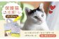保護猫 贈答 ギフト 産地直送 取り寄せ 送料無料 大阪