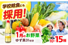 【数量限定】厳選！旬を味わう高槻野菜詰め合わせ 1月（10～15種）＆農家さん自家製ゆず果汁 200ml×1本セット　大阪府高槻市/高槻あぐり [AOCS003] 新鮮 野菜 やさい 産地直送 産直 旬 人気 お取り寄せ 野菜詰め合わせ 野菜セット ゆず 柚子