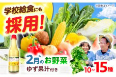 【数量限定】厳選！旬を味わう有機野菜詰め合わせ 2月（10～15種）＆農家さん自家製ゆず果汁 200ml×1本セット　大阪府高槻市/高槻あぐり [AOCS004] 新鮮 野菜 やさい 産地直送 産直 旬 人気 お取り寄せ 野菜詰め合わせ 野菜セット ゆず 柚子