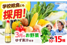 【数量限定】厳選！旬を味わう高槻野菜詰め合わせ 3月（10～15種）＆農家さん自家製ゆず果汁 200ml×1本セット　大阪府高槻市/高槻あぐり [AOCS005] 新鮮 野菜 やさい 産地直送 産直 旬 人気 お取り寄せ 野菜詰め合わせ 野菜セット ゆず 柚子