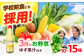 野菜 贈答 ギフト 産地直送 取り寄せ 送料無料 大阪